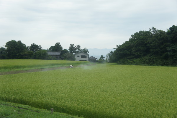 Typisch Sado: Reisfelder, Meer und Berge