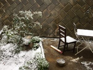 Unerhört: Schnee in Tokyo im November