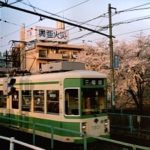 Strassenbahn vor blühenden Kirschbäumen