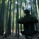 Bambuswald in Kamakura