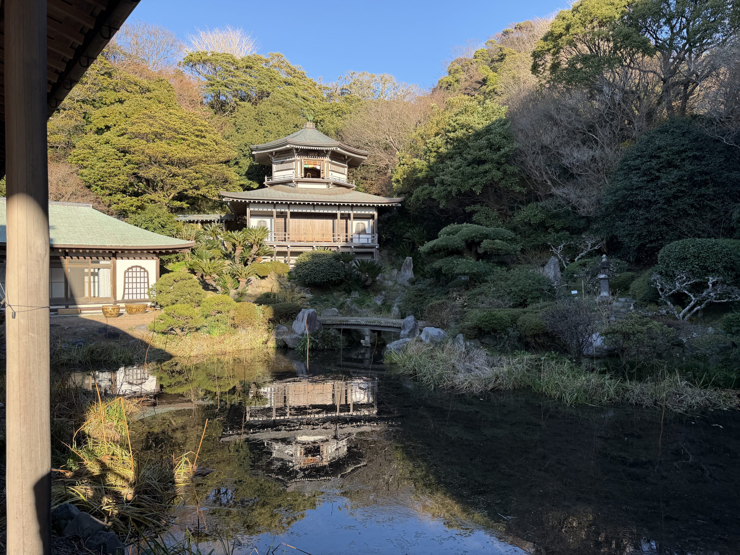 Der Kōmyō-ji in Kamakura – Lotusteich mit dem Taishōkaku im Hintergrund