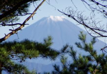 Shosenkyo – Natur pur in Yamanashi