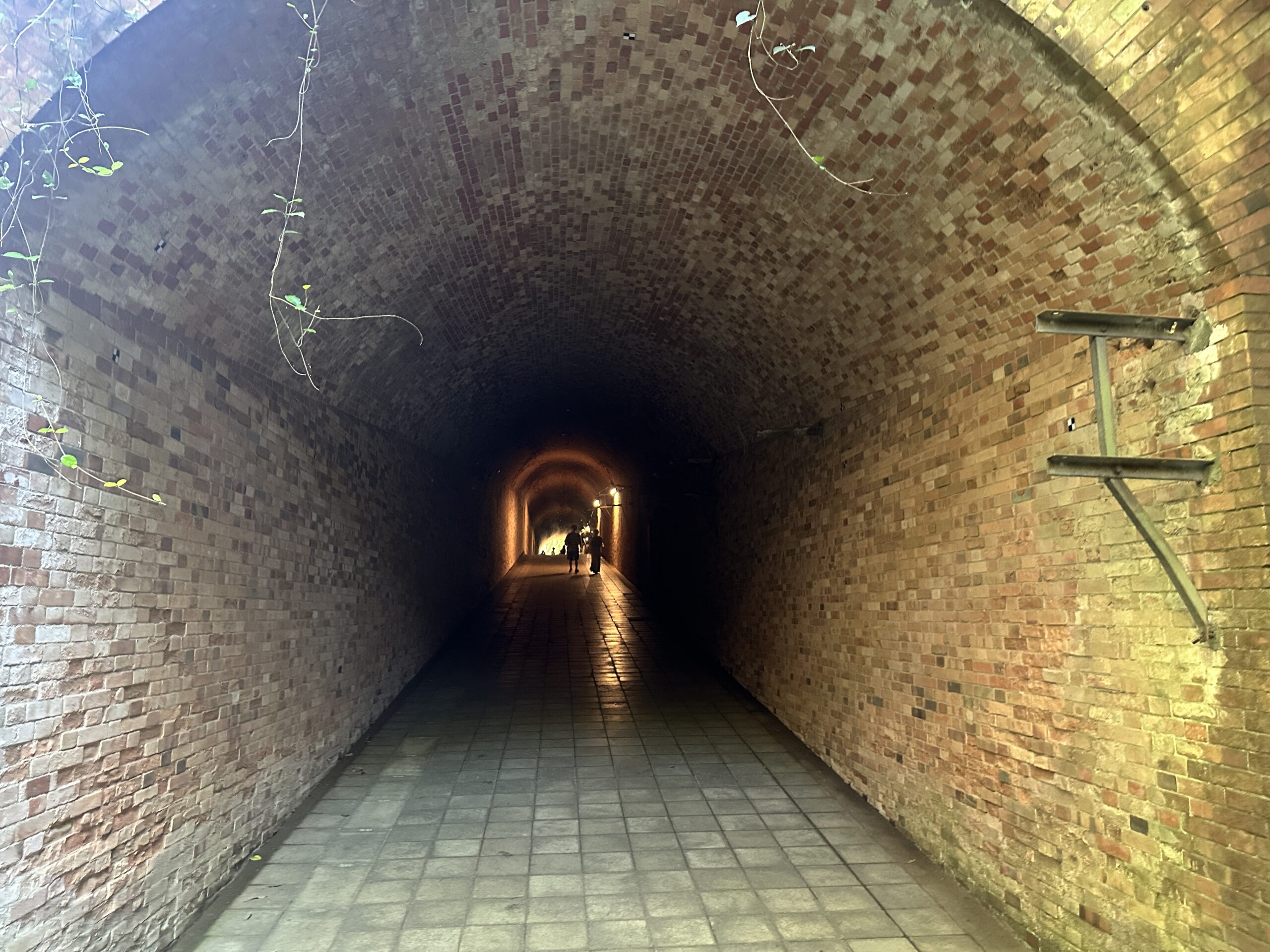 Lange, dunkle Tunnel gehören ebenso zum Inselbild wie dichte Wälder