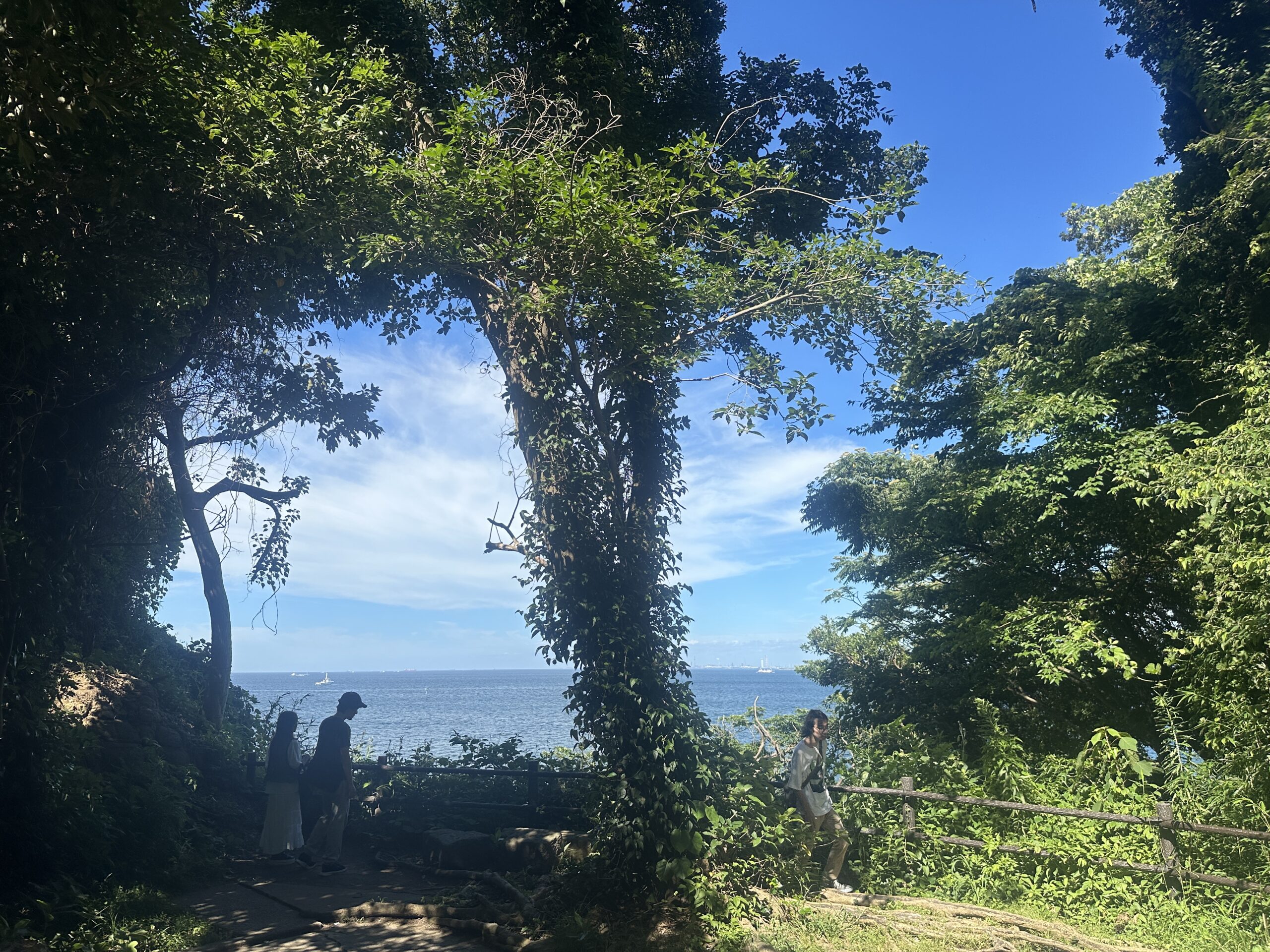 Auf der knapp 40 m hohen Spitze des Inselberges von Sarushima, Yokosuka