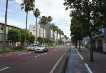 Miyazaki – die kleine, sonnige Hauptstadt Palmen bestimmen das Bild in Miyazaki