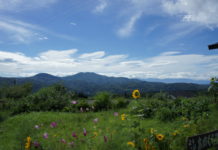 Myoko – tief in den Bergen von Niigata In den Bergen von Myoko