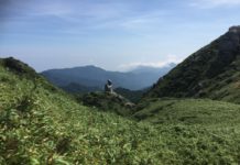 Yakushima – die zauberhafte Regeninsel