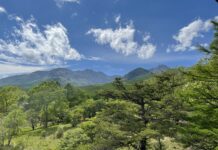 Hokuto – Bergparadies und Villenort am Yatsugatake Direkt hinter dem Park beginnt das Yatsugatake-Gebirge