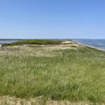 Küste bei Shari. Könnte aber ebenso an der Ostsee sein.