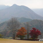 Herbst am Kawaguchi-ko