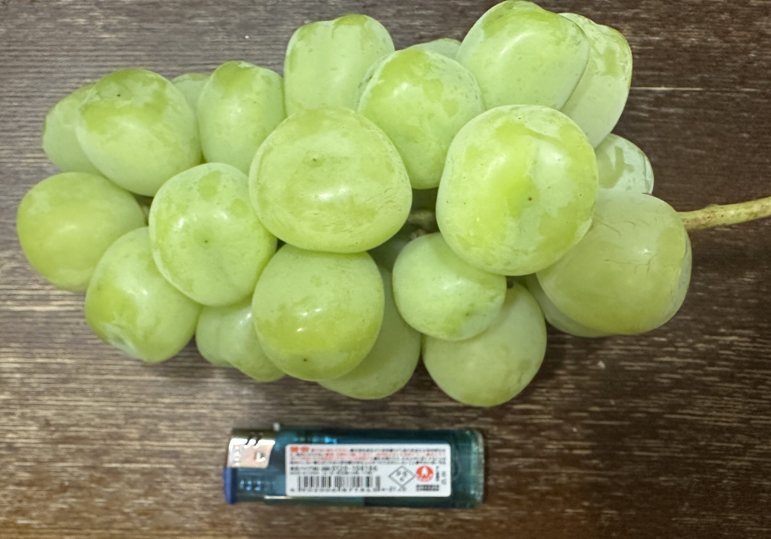 Japanische Shine-Muscat-Trauben, zum Größenvergleich ein Feuerzeug